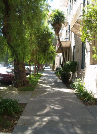 Random street in San Jose