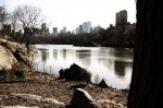 central_park_nyc
